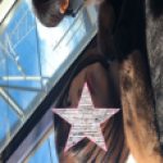 【顔フェチ】肌の質感がたまらんお姉様を超接写してみた【未公開編】