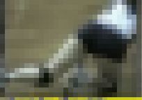 3723-2／「一心同体化撮り・萌えよ女子バレー、おいらが胸に（44）-2」
