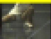 3659-1／「蒐集撮り・テニスでいこう（43）-1」