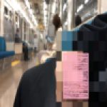 人気の少ない電車内でちんこ露出