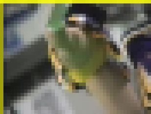 3222-1／「蒐集撮り・チアーでいこう（46）-1」