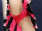 ★フルサイズ写真★　チアフォトグラフ　S03-A