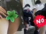 学生さんの～柄パ◯ティ～外部衣服～！！芸術風にスライドショーにしてみました！！(P限定販売)