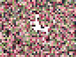 お花見パンチラ　友達のパンティ　座りパンチラ編