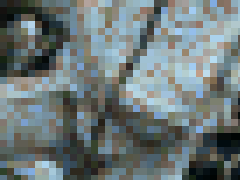 CM95 いつかの露出レイヤー囲撮② ドキドキ!コスプレイヤー vol.44動画&静止画SET【YMLY-1044】