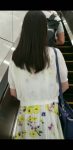 めくりセット