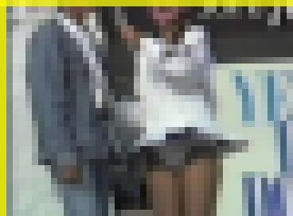 2738／「蒐集（しゅうしゅう）撮り・アイドルでいこう」