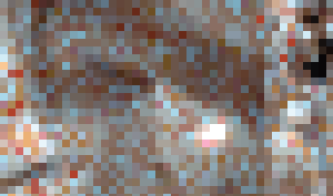 靴亀くんno.5　ミニスカの食い込みお姉さん　ワンピースの純白パンティお姉さん　グレーのパンツに羽が生えている女子高生も！