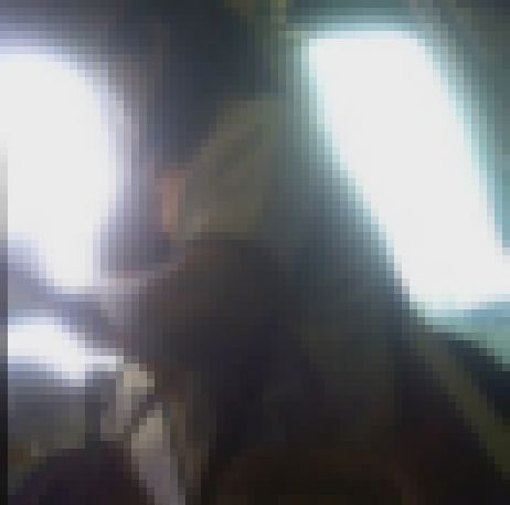 お姉さん詰め合わせ逆さ撮り　５名