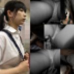 痴漢記録日記【ディレクターズカット版】