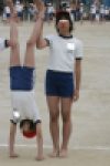 パンパンたんピー　164