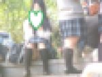 制服姿の可愛いコを発見！！（ＦＨＤ）大変です！！パンツが見えてますよ２１