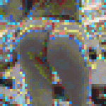 【デカ尻お姉さんの街歩き】☆重量感たっぷりの濃厚肉厚なリアル尻！