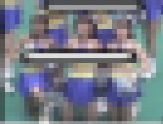 3290／「一石二鳥化撮り・チアガールお好み選集（２）」