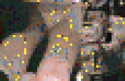 買い物中OLの（生）パンチラ 35