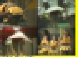 3384／「蒐集撮り・チアーでいこう（52）」