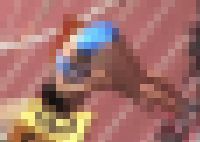 2769／「煌（きらめ）き撮り・萌えよ陸上ガール、おいらが胸に（２）」