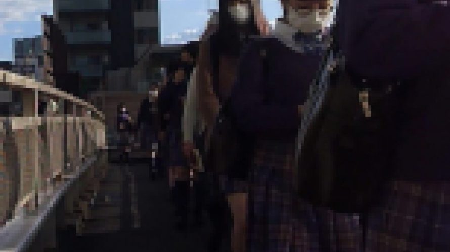 制服美少女図鑑 某有名女子校の少女たち4-3