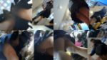 【Upskirting Girls -Quadruple- 11】 k5名