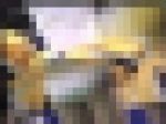 3533／「蒐集撮り・チアーでいこう（56）」