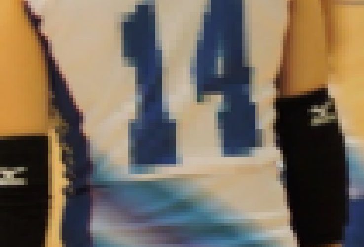 全日本バレーボール選手権大会【動画】スポーツ編 5006