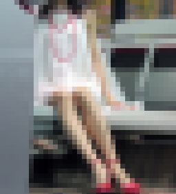 コンパニオン004,005セット