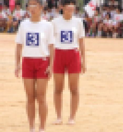 パンパンたんピー　215