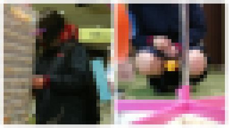ダックス作品1と3のセット！！