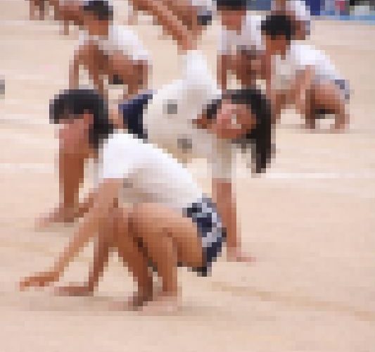 パンパンたんピー　217