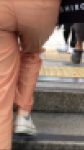 透けパンJD夏