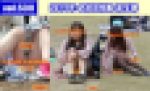 vol.530：2019年 お花見特集 第５弾