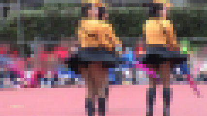 MBT-W272 カラーガード’08(3)