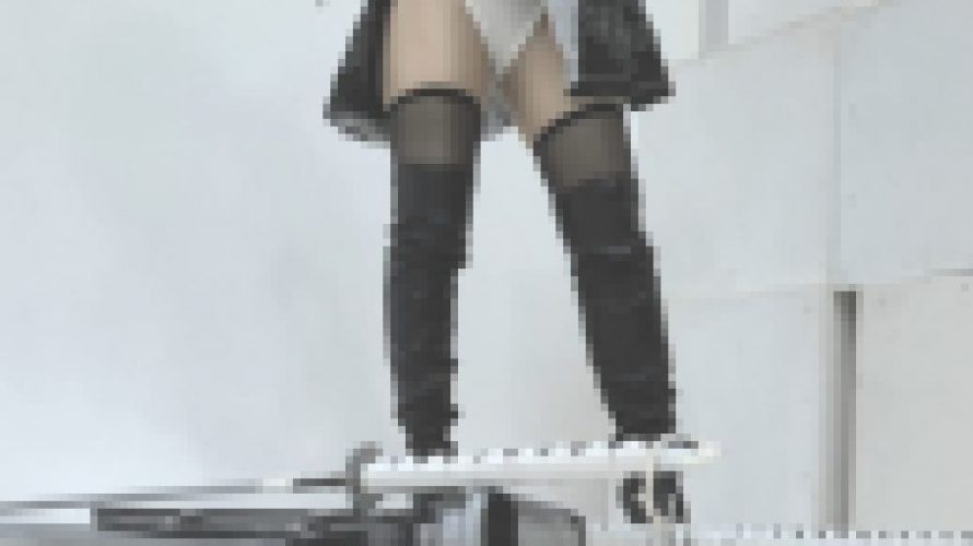 【隠し撮り】某有名レイヤーをローアン隠し撮り