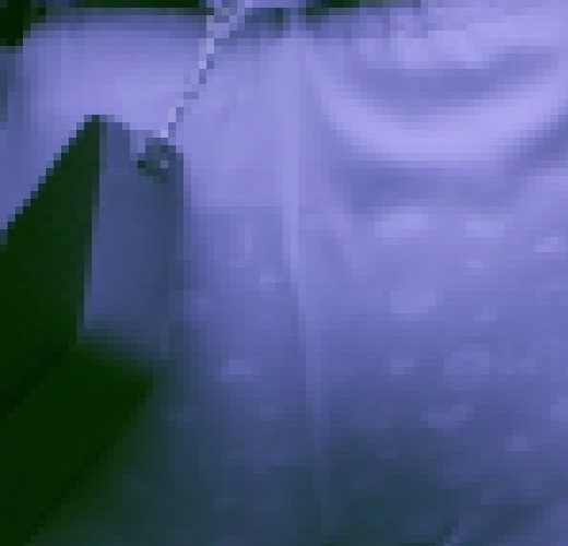赤外線スケスケ_恥ずかしいパンツが丸見えの２人_03