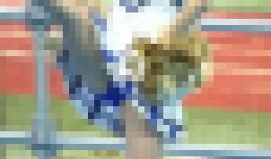 5157／「スウィング撮り・チアセクシーな歌が聞える（24）」