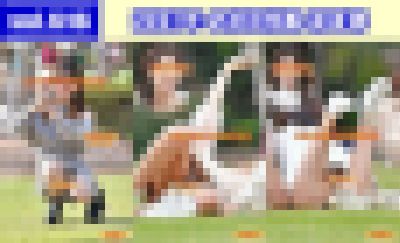 vol.616：2021年 お花見特集 第８弾