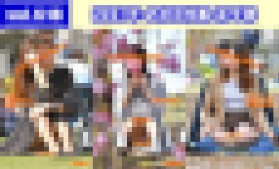 vol.618：2021年 お花見特集 第９弾