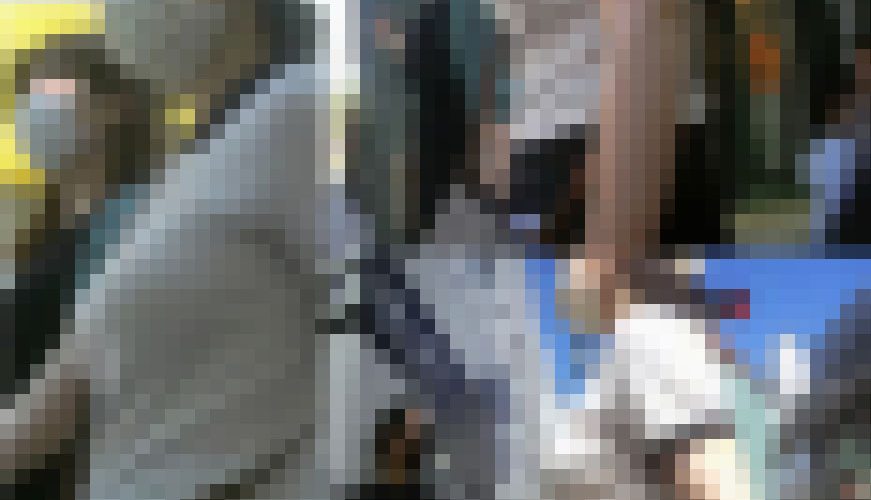 現役激かわJ○  お母さんみたいにおっぱい大きくなれるかな？