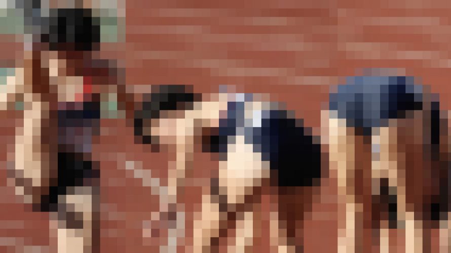 #0454_03 4×100リレー 予選0３ 大規模リレー大会から