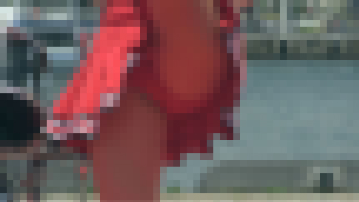 P04509