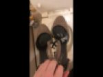 ギャルの靴に射精