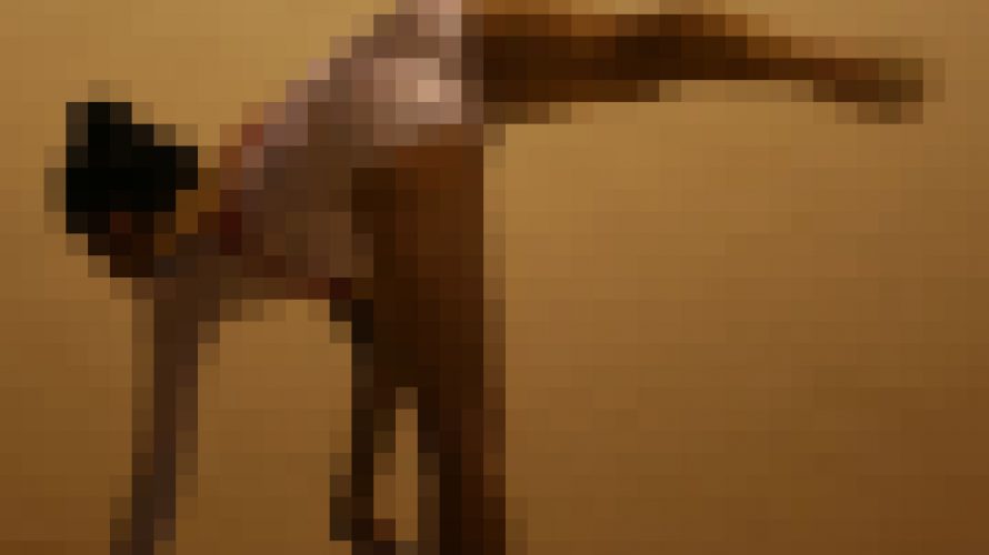 新体操競技184