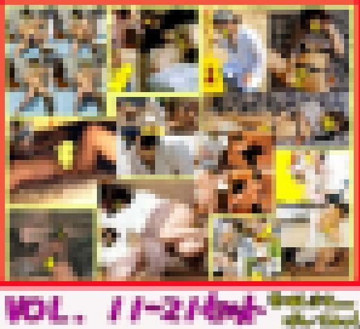 【個人撮影】無防備な妻を視姦してください⑪-?コンプリートセット