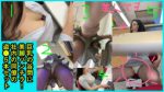 【まとめ売り】デザイン事務所の同僚の谷間やパンチラを盗撮！