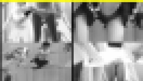 6214／「急患化撮り・キューティーチアガール発熱カルテ（118）」