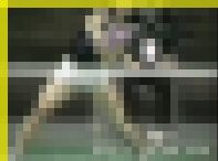 4065／「一心同体化撮り・萌えよバドトンガール、おいらが胸に（２）」