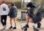 【パンチラ盗撮】幼い残る女子のパンツと飛び立つ鳩。イチャつくカップルの餌やり一部始終