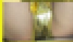 4702／「スウィング撮り・キャンちゃんの歌が聞える（17）」