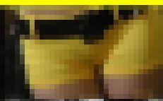 4134／「偽装撮り・キャンちゃん私家盤コレクション（５）」