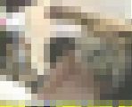 0365／「追いこみ撮り・生パン女子○生、絶体絶命！（９）」